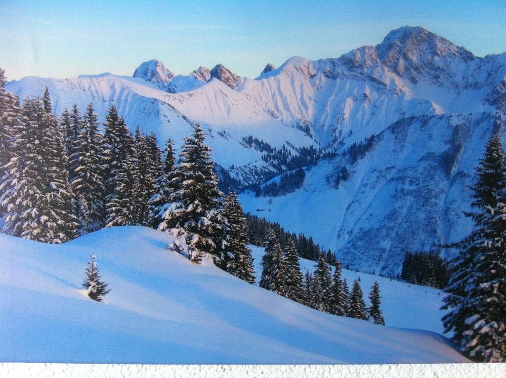 Apartmán Gasthaus Glockle Damuels Pokoj fotografie